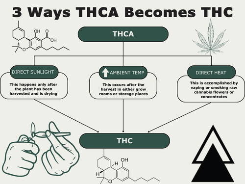 3-ways-thca-becomes-thc-blog-thca-vs-thc