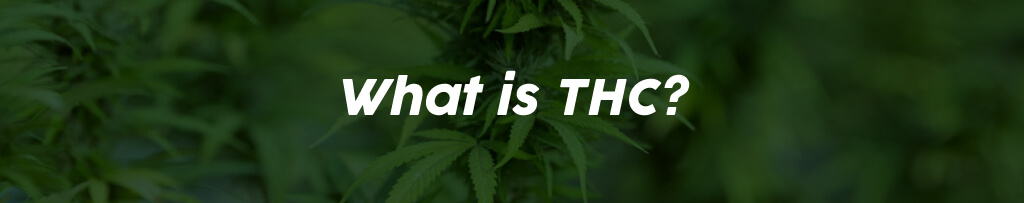what-is-thc
