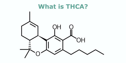 what-is-thca