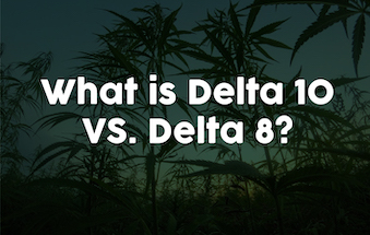 What Is Delta 10 Vs Delta 8 THC?