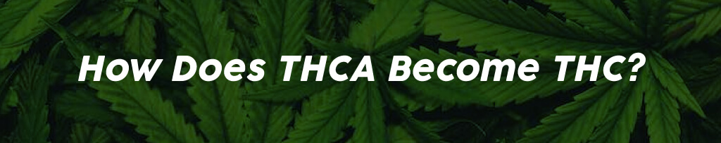 how-does-thc-become-thc