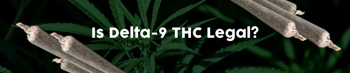 Is Delta 9 THC Legal?
