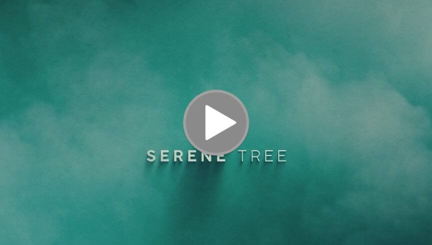 Serene Tree Cannabis Wholesale Program Video