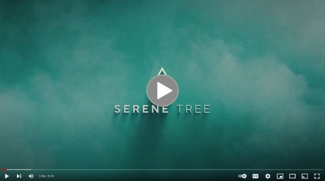Serene-Tree-THCA-Diamonds-Review