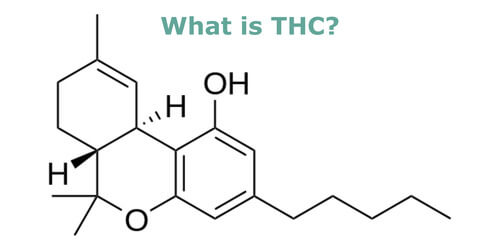 what-is-thc
