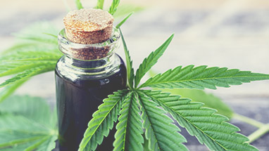 CBD vs Hemp Oil: How are they different? | Serene Tree