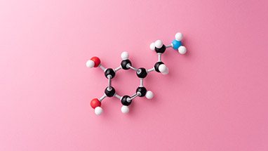 CBD vs THC: A match made in hempven | Serene Tree
