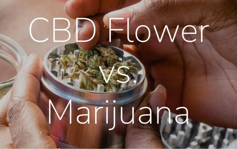 CBD Flower vs. Traditional Marjiuana