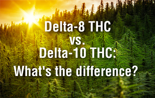 Delta-10 THC Vs. Delta-8 THC: What's The Difference? Will It Get You High?