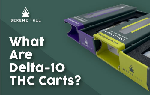 What Are Delta-10 THC Cartridges? How Much Are Delta-10 Carts