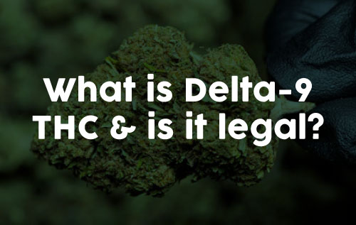 What Is Hemp Derived Delta-9 THC & Is It Legal?