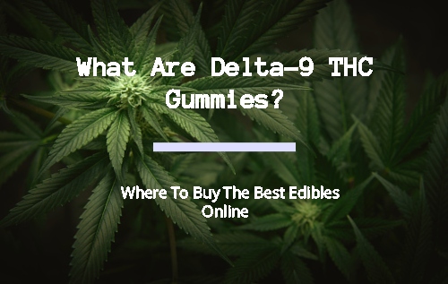 What Are Delta-9 THC Gummies | Buy The Best Delta-9 Gummies