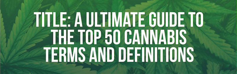 Ultimate Cannabis Glossary: The Top 50 Marijuana Terms and Definitions