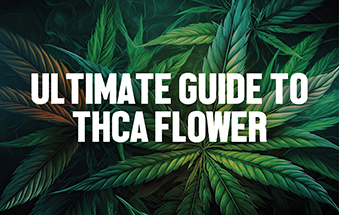 Ultimate Beginners Guide To THCA: Flower Moonrocks & Pre Rolls