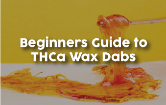 Beginners Guide to THCA Wax Dabs