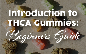Introduction To THCA Gummies: A Beginners Guide