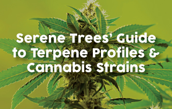 ​Serene Trees’ Guide to Terpene Profiles & Cannabis Strains