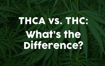 THCA vs. THC: What’s the Difference?