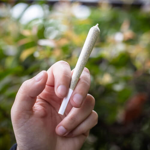 THCA preroll
