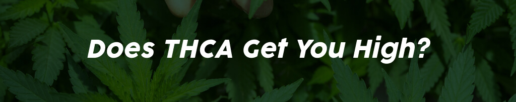 Does THCA get you high