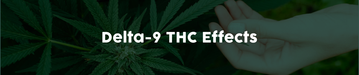 Effects of Delta 9 THC